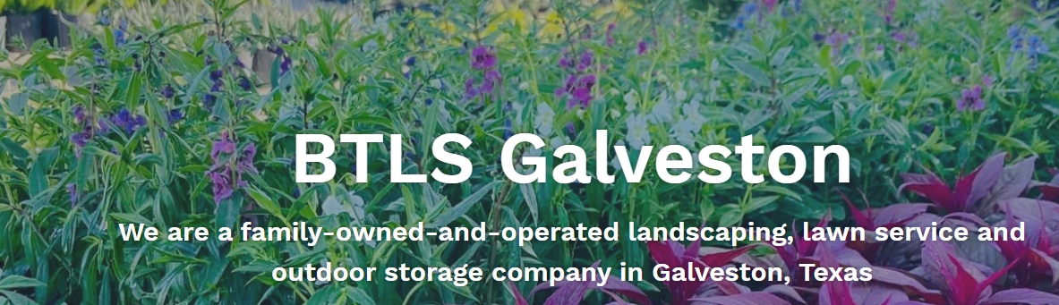 🌾 BTLS Galveston – Lawn Service