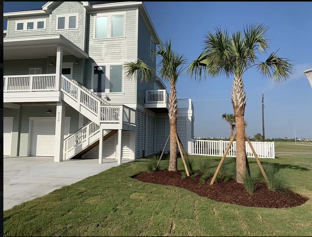 🌲 Evergreen Landscape – Galveston