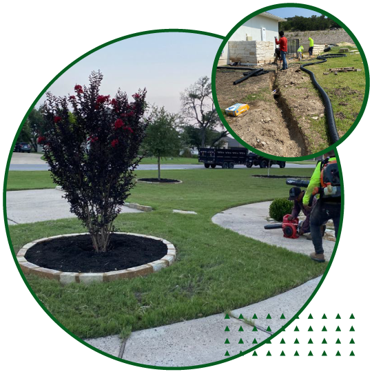 🌳 Obregon’s Lawn & Tree Services – Galveston